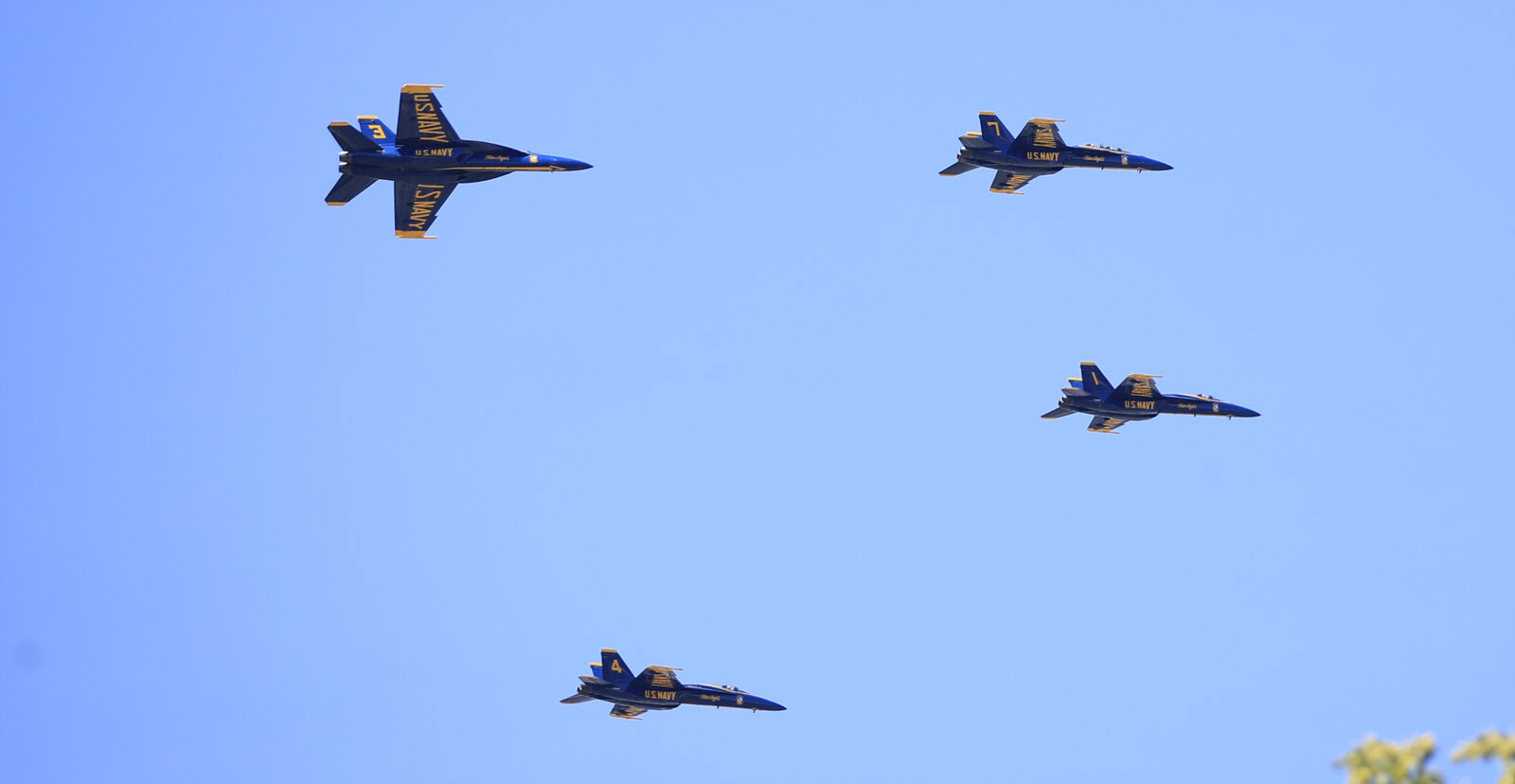 Formation